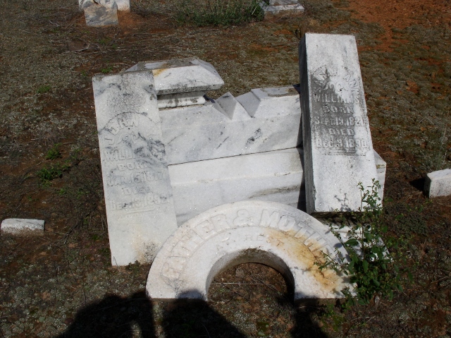 John Young Williams (1817-1892)