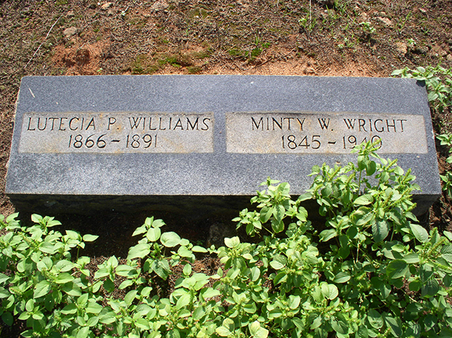 Lutecia E. (Power) Williams (1866-1891)